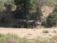 Marion, Romane South Africa 2014 (27 of 63) : KNP Satara area, Marion visit